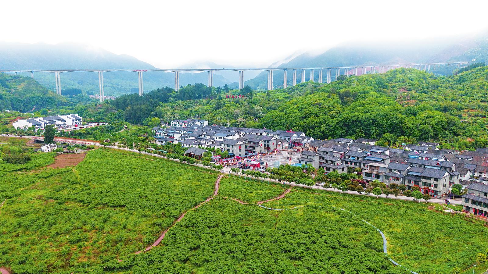 A scenic view of Chenzhou Xiangnan Qiyi Jiuzhiqun