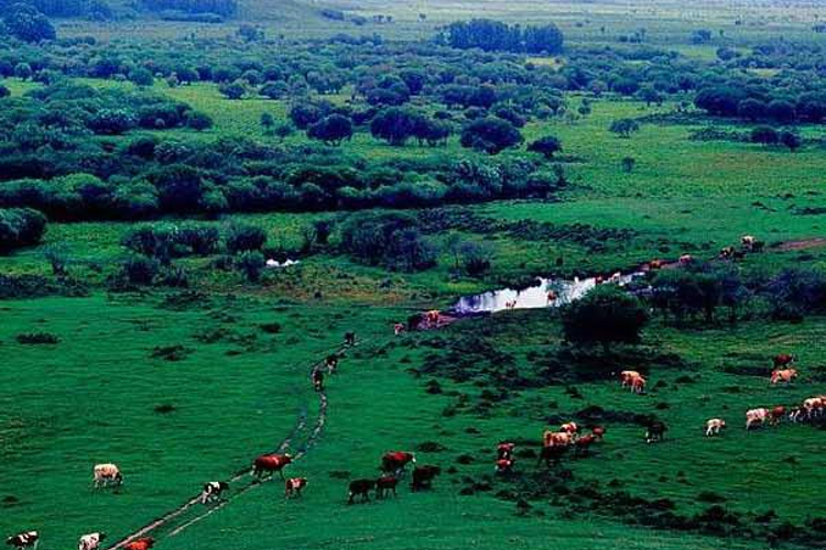 A scenic view of Chifeng Chengziyishanyizhi