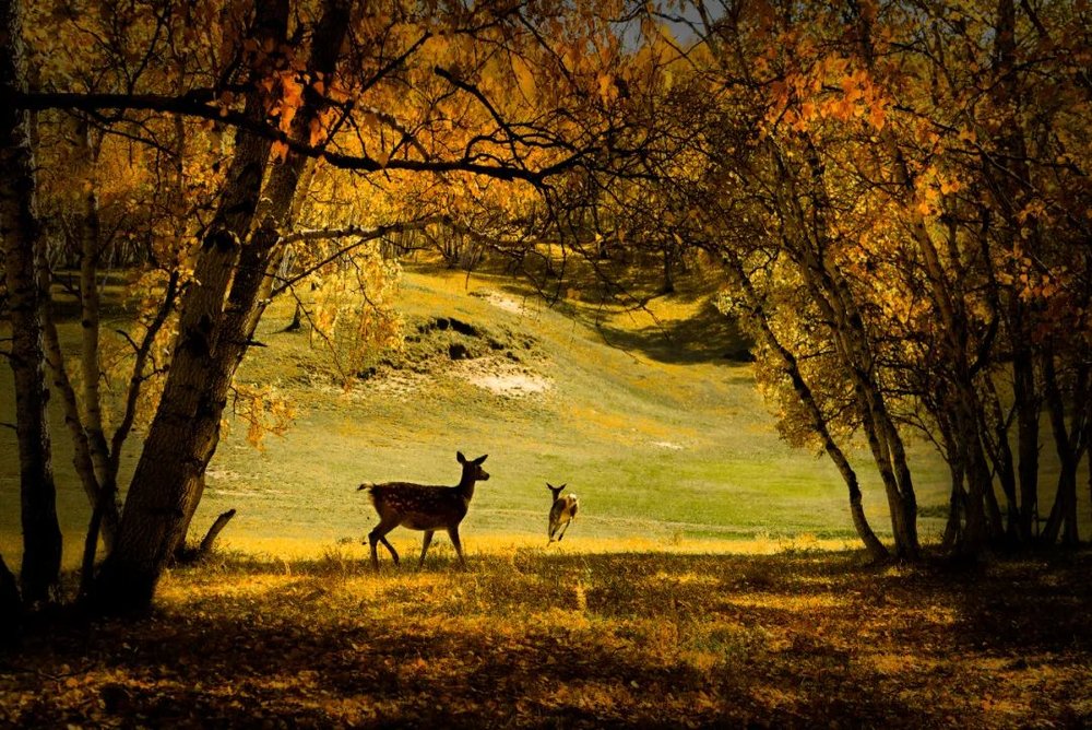 A scenic view of Chifeng Keshiketengyanhuaqun