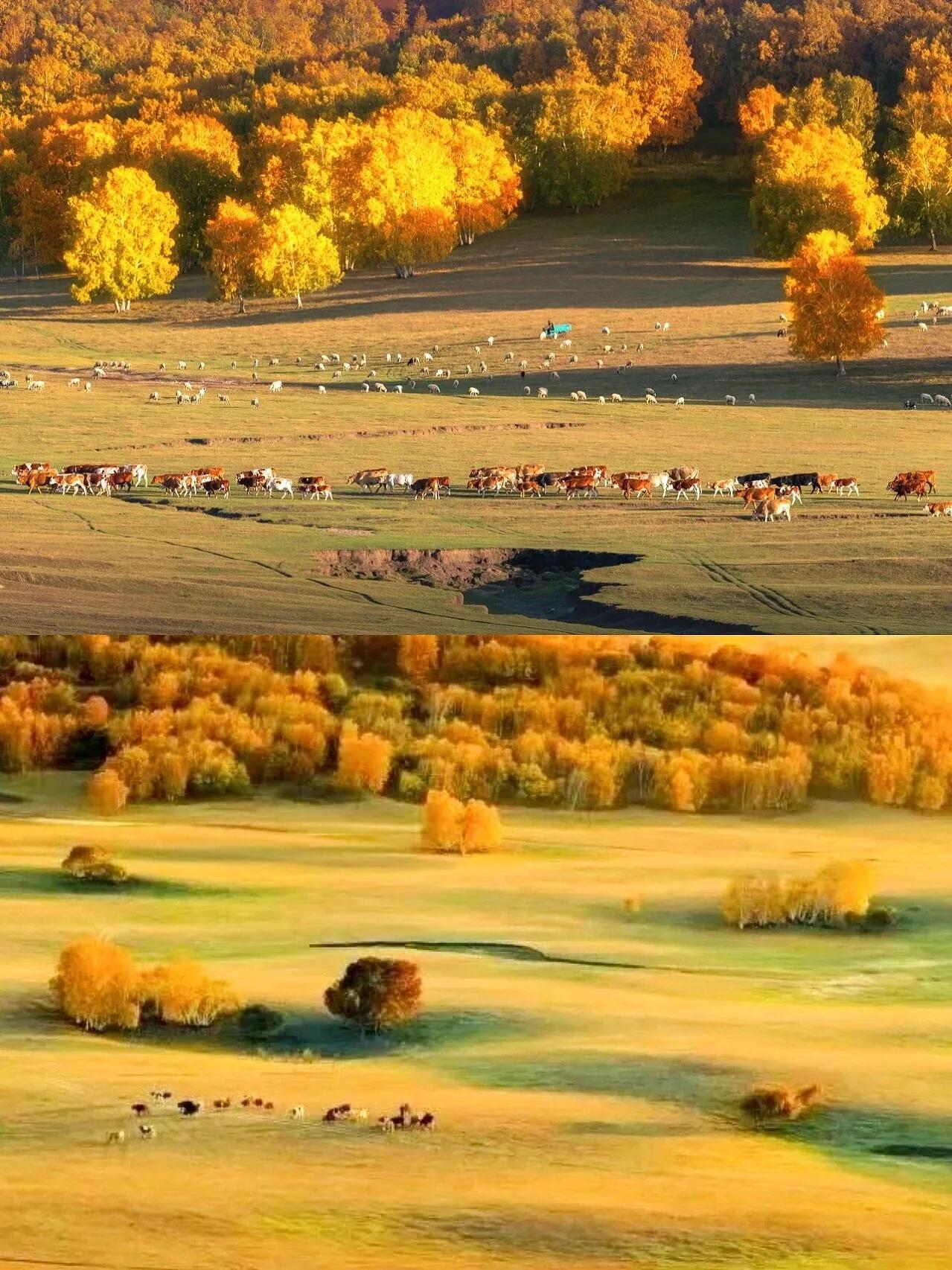 A scenic view of Chifeng Sharibaotemuqun