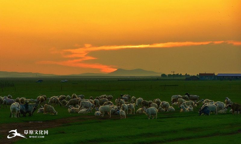 A scenic view of Chifeng Yelvqijiazumu