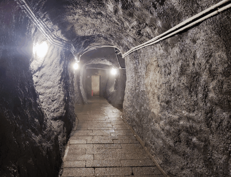 Chongqing Huangshan Kangzhan Jiuzhiqun: Experience Nature and Culture in Perfect Harmony