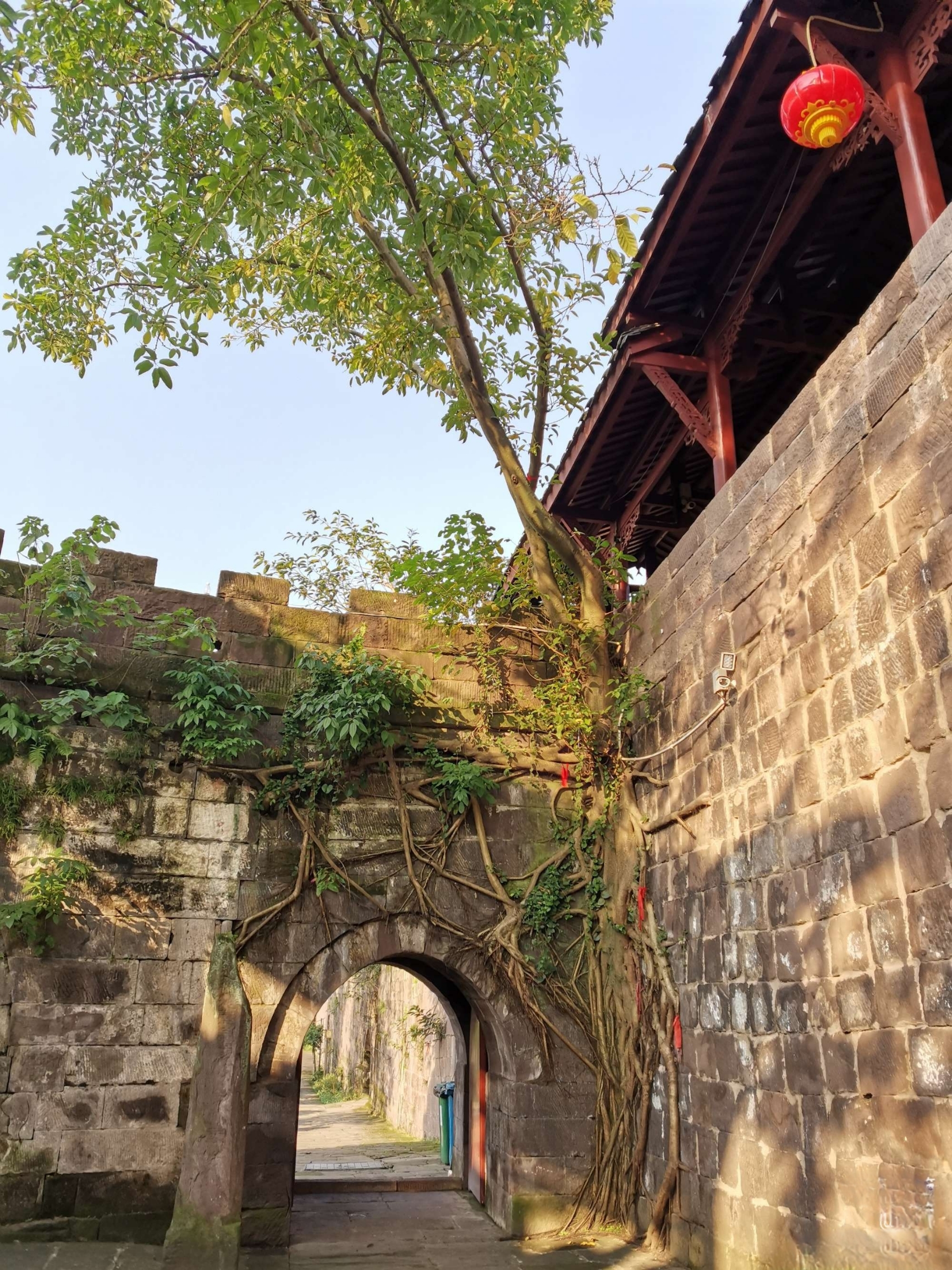 A scenic view of Chongqing Laitan Erfosi Moya Zaoxiang