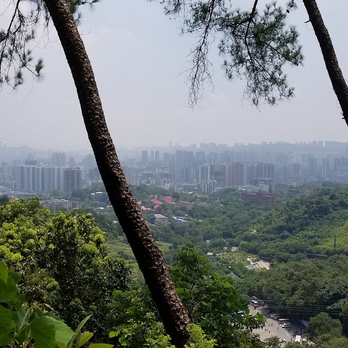 A scenic view of Chongqing Linyuan