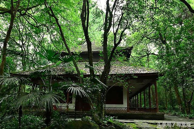 A scenic view of Chongqing Linyuan