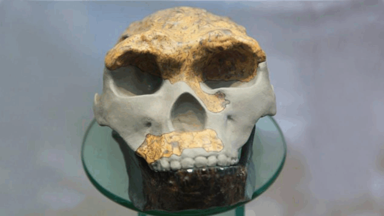 Unveiling the Secrets of Chuxiong Lama Guyuan Huashi Didian in Yunnan’s Heartland