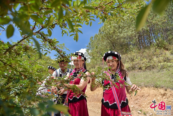 A scenic view of Dali Shundang Huozangmuqun
