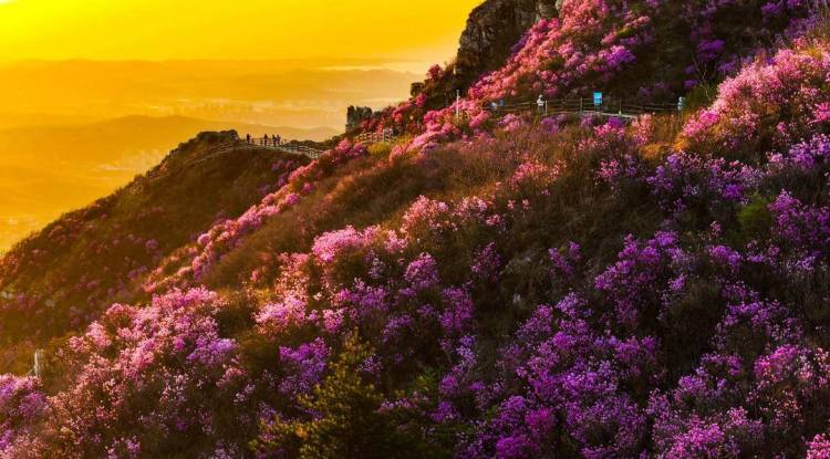 A scenic view of Dalian Daheishan Shancheng