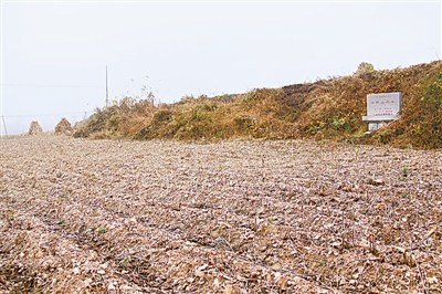 A scenic view of Dalian Xiaozhushan Yizhi