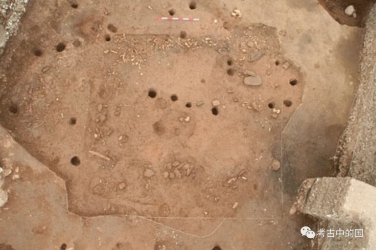 Experience Nature’s Beauty at Dalian’s Xiaozhushan Yizhi: Your Ultimate Travel Guide