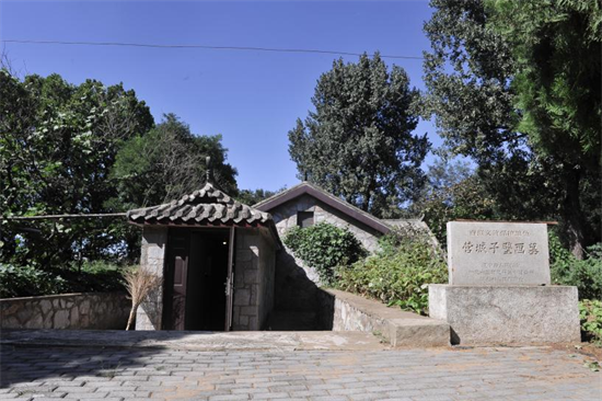 A scenic view of Dalian Yingchengzi Hanmuqun