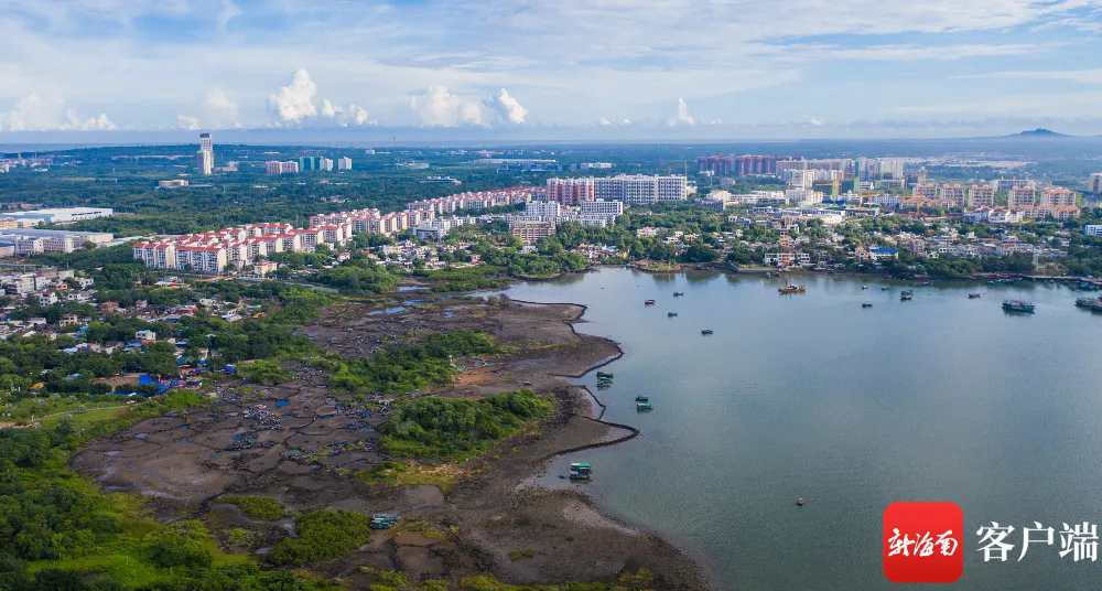 A scenic view of Danzhou Yangpu Yantian