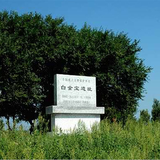 A scenic view of Daqing Baijinbao Yizhi