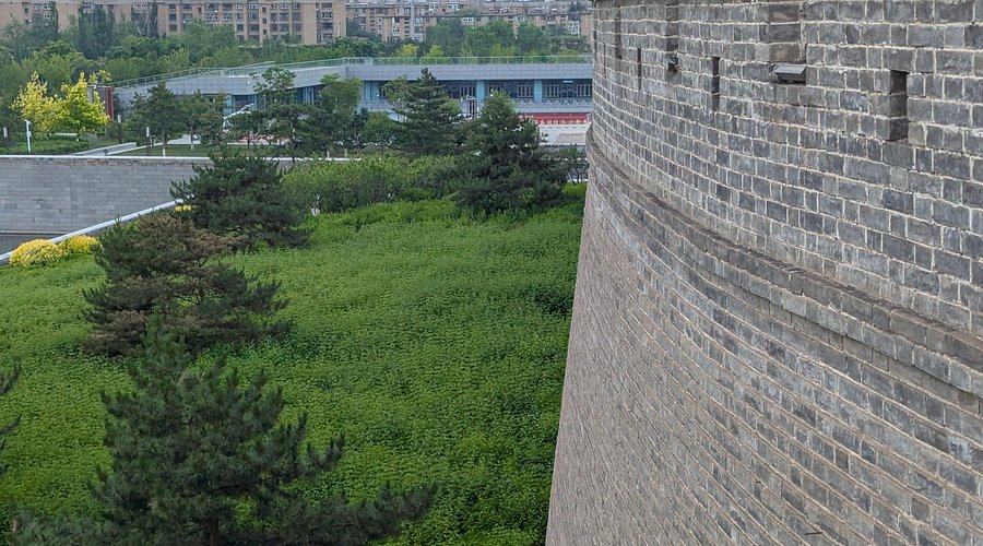 A scenic view of Datong Pingcheng Ruins