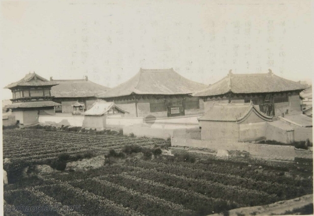 A scenic view of Datong Shanhua Temple