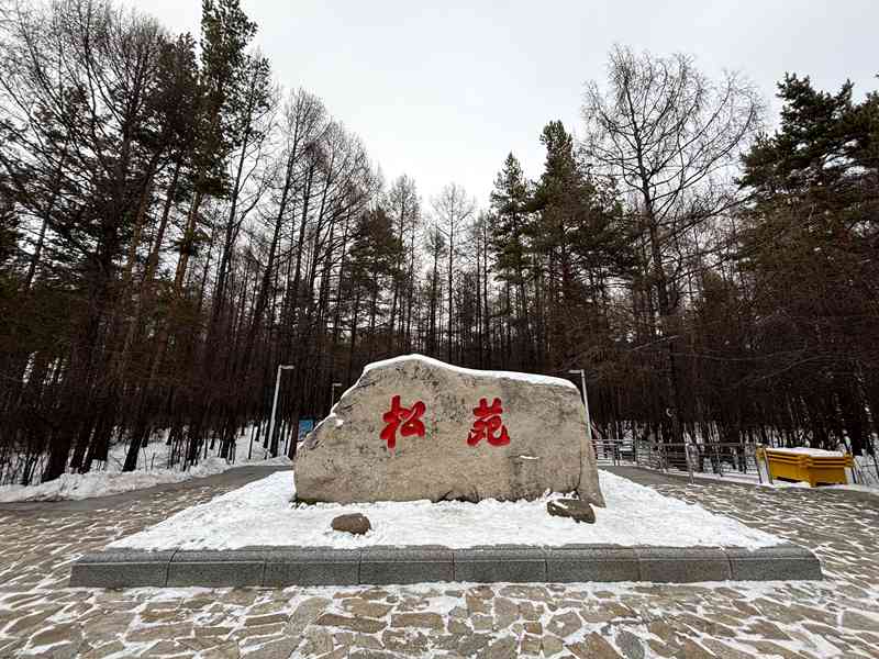 A scenic view of Daxinganling Moergen Zhi Mohe Guyizhan Yidao