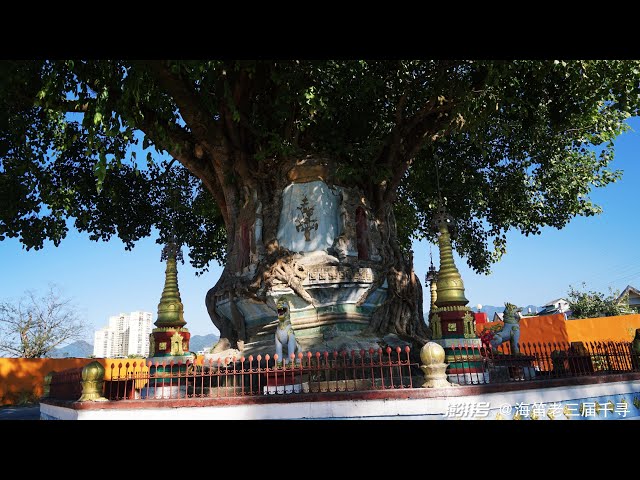 A scenic view of Dehong Wandangqiao Zhongmian Bianmin Lianhuan Dahuilou Jiuzhi