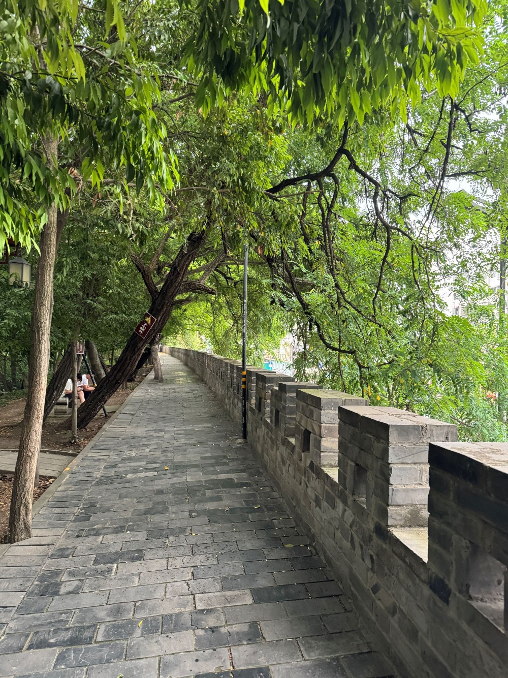 A scenic view of Deyang Luocheng Yizhi