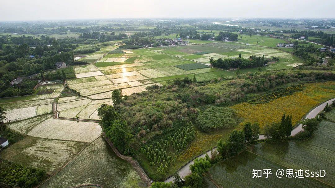 A scenic view of Deyang Sanxingdui Yizhi