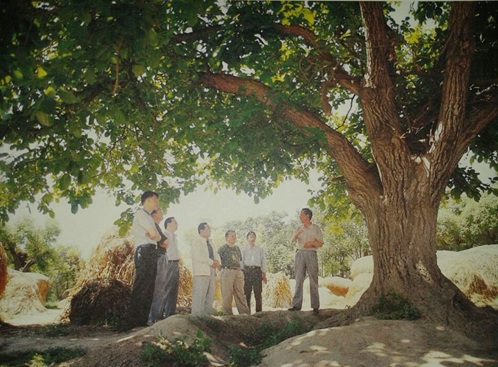 A scenic view of Dingxi Bangluozhen Huiyi Jiuzhi
