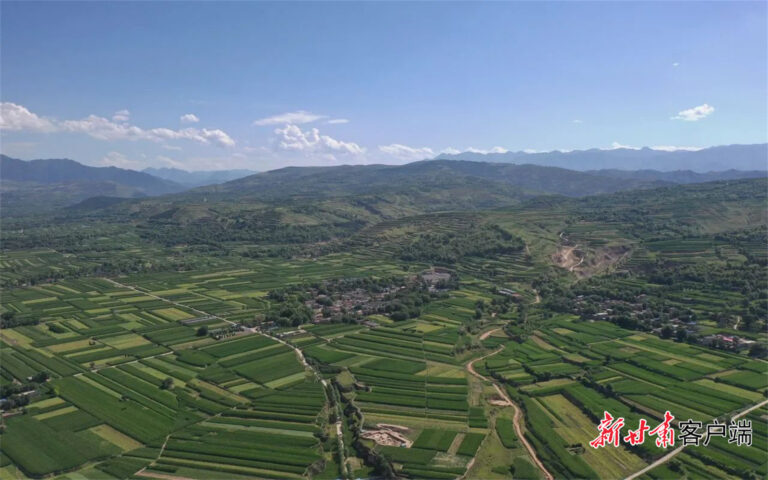 Discovering Dingxi Siwa Yizhi: A Hidden Gem in Gansu’s Cultural Landscape