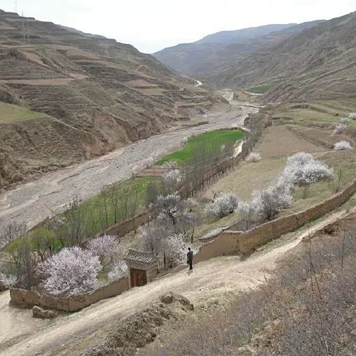 A scenic view of Dingxi Wangshi Jiazu Mudi