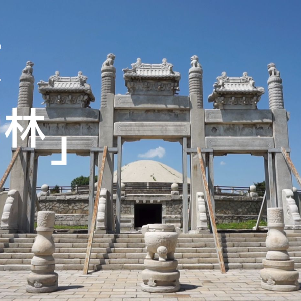 A scenic view of Fushun Yuanshuailin