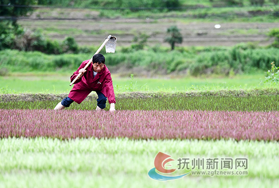 A scenic view of Fuzhou Zhongyang Suqu Disici Fanweijiao Zhanyi Yizhi