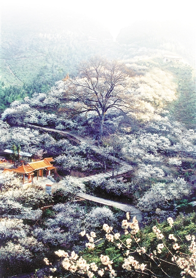 A scenic view of Ganzhou Meiguan Guyidao