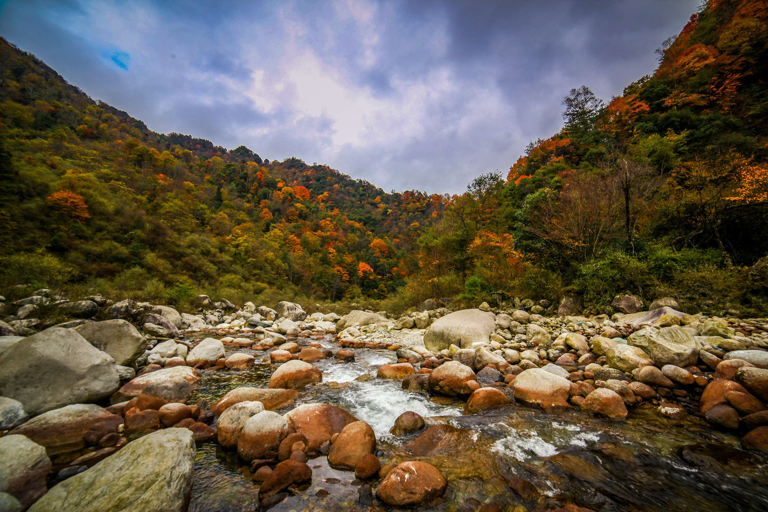 A scenic view of Guangyuan Qingchuan Haojiaping Zhanguo Muqun
