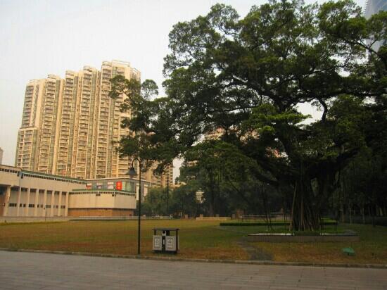 A scenic view of Guangzhou Guomindang Yida Jiuzhi