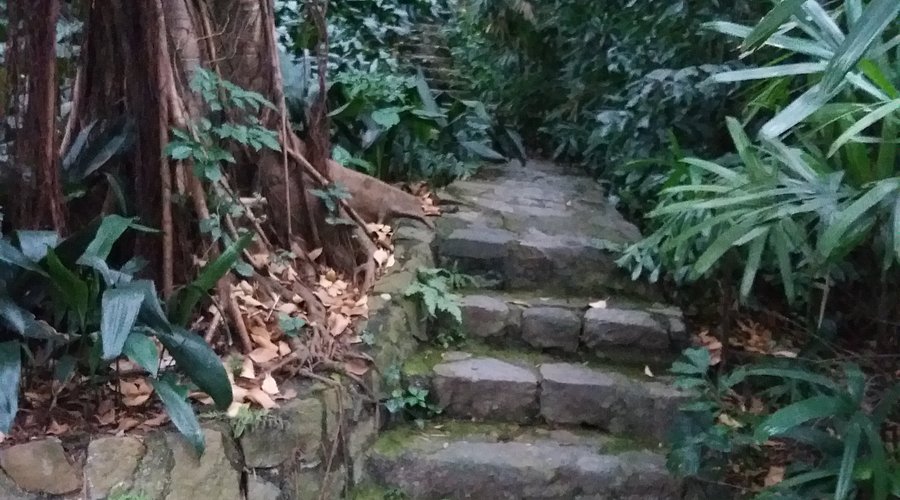 A scenic view of Guangzhou Zhongshan Jiniantang