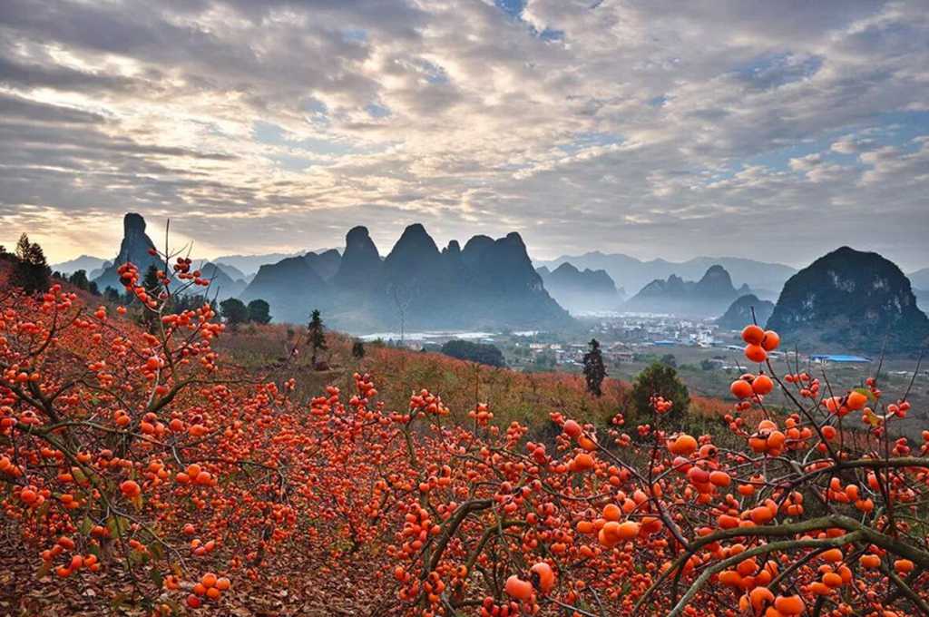 A scenic view of Guilin Gongcheng Gujianzhuqun