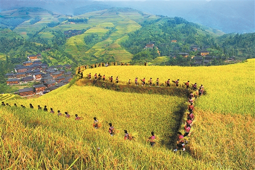 A scenic view of Guilin Lewancun Gujianzhuqun