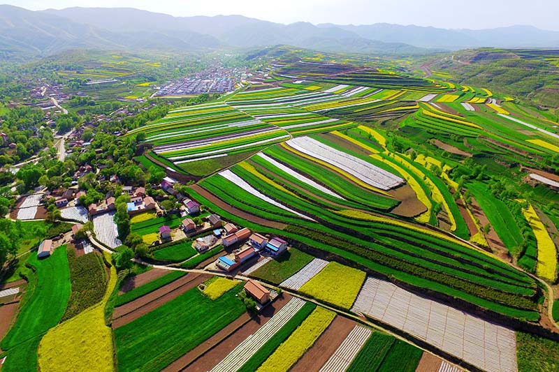 A scenic view of Guyuan Daying Chengzhi