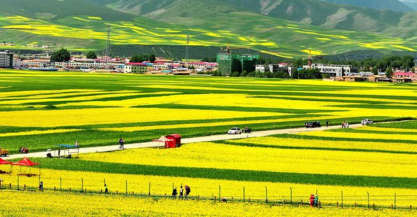 A scenic view of Haibei Menyuan Gucheng