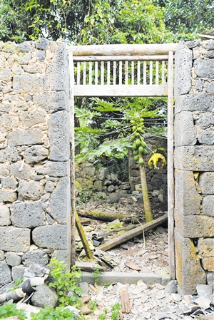 A scenic view of Haikou Qiongshan Houjia Dayuan