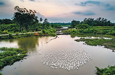 A scenic view of Haikou Yantangbei Tingtangbei Shuili Gongcheng