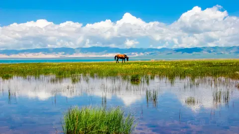 A scenic view of Hainan Wenchangmiao