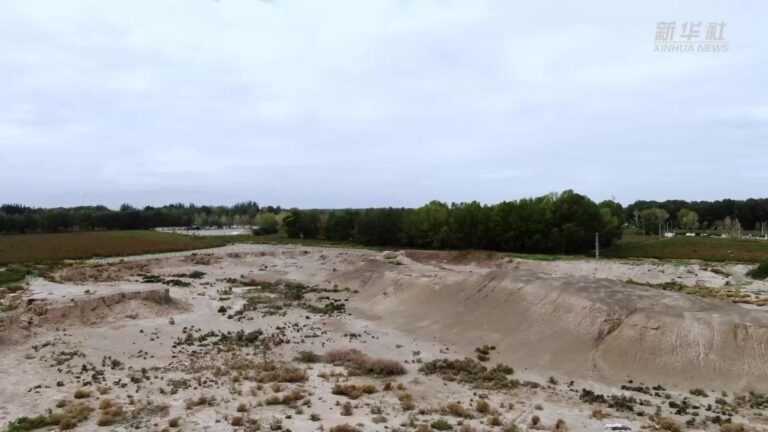 Exploring the Cultural Wonders of Haixi Talitalihai Yizhi, Qinghai