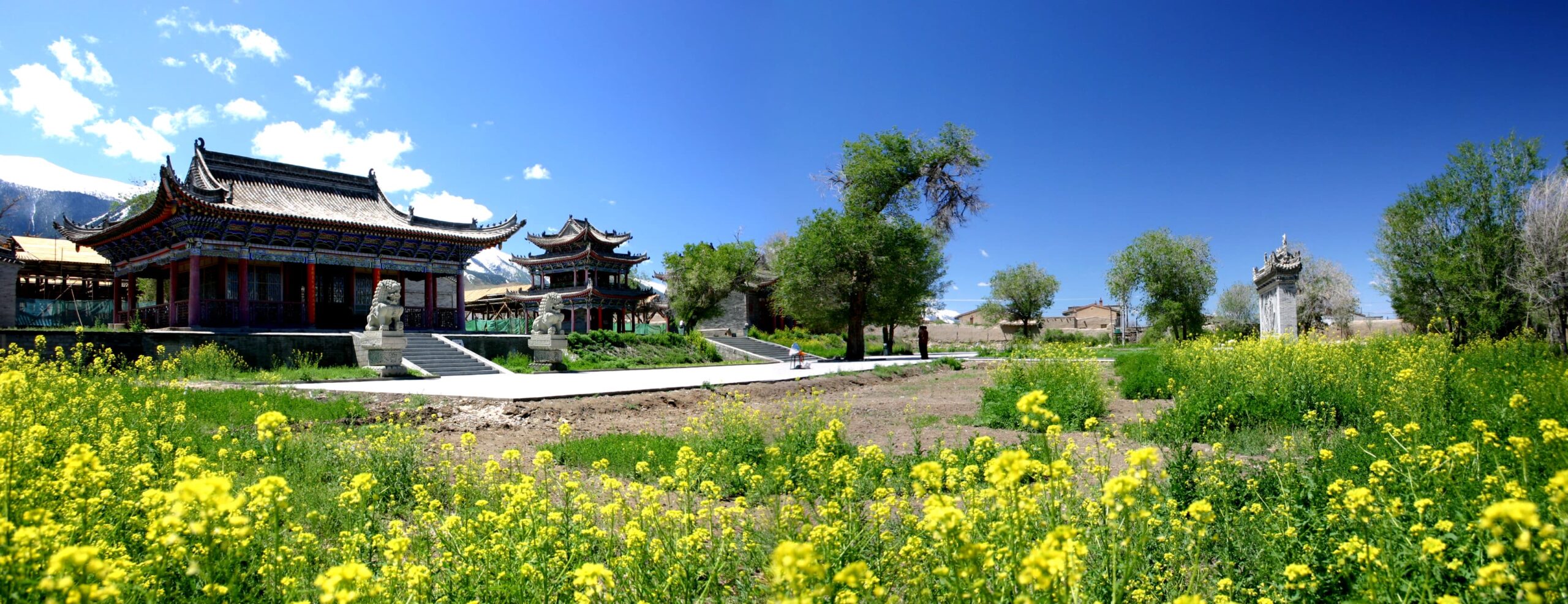 A scenic view of Hami Balikun Gucheng Yizhi