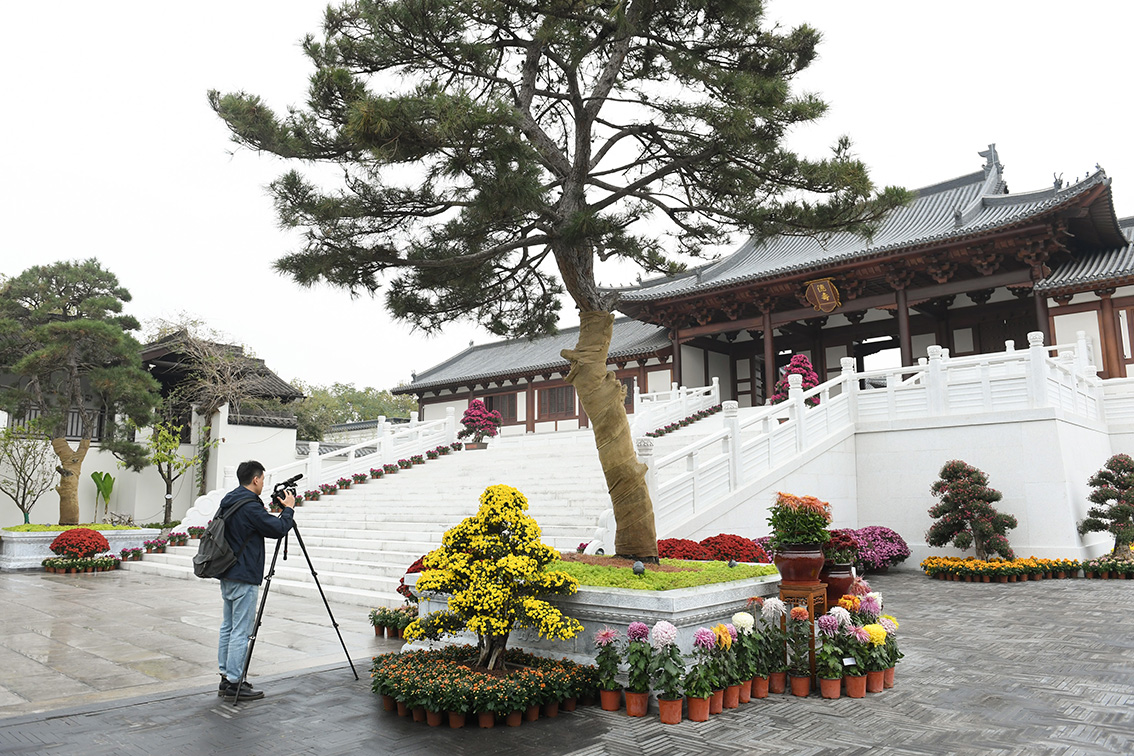 A scenic view of Hangzhou Linancheng Yizhi