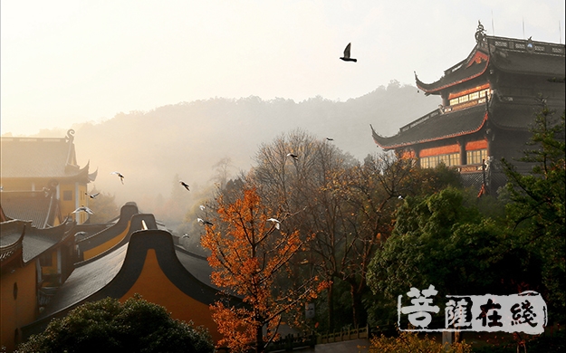 A scenic view of Hangzhou Lingyinsi Shita He Jingchuang