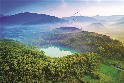 A scenic view of Hangzhou Liyuyshan Laohuling Shuiba Yizhi