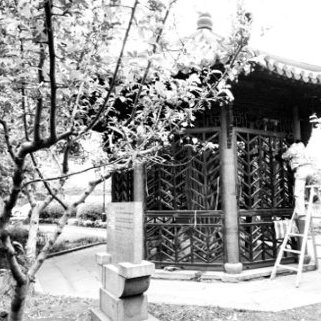 A scenic view of Hangzhou Longxingsi Jingchuang