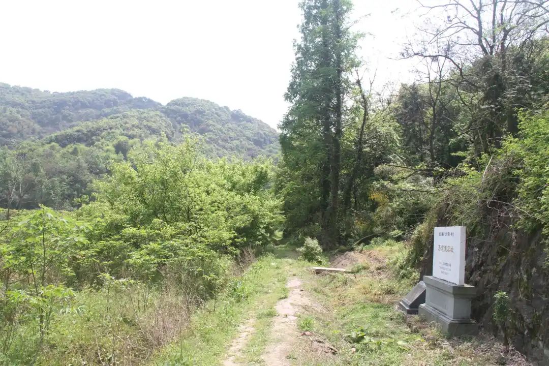 A scenic view of Hangzhou Maowanli Yaozhi
