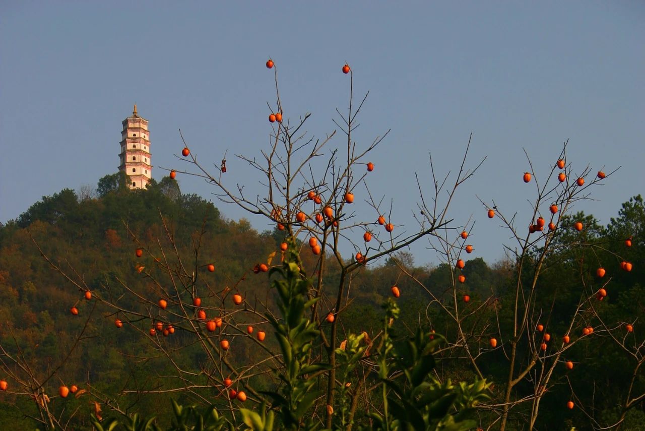 A scenic view of Hangzhou Meicheng Nanfengta He Beifengta