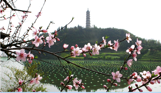 A scenic view of Hangzhou Meicheng Nanfengta He Beifengta