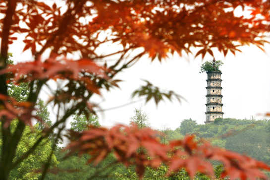 A scenic view of Hangzhou Meicheng Nanfengta He Beifengta