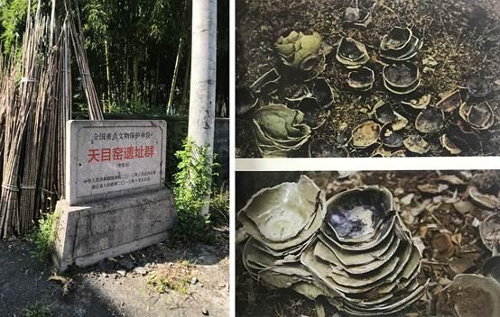 A scenic view of Hangzhou Tianmu Yao Yizhiqun